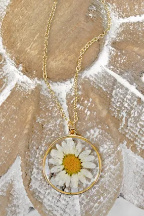 Crystal Avenue Shasta Daisy Pressed Flower Necklace