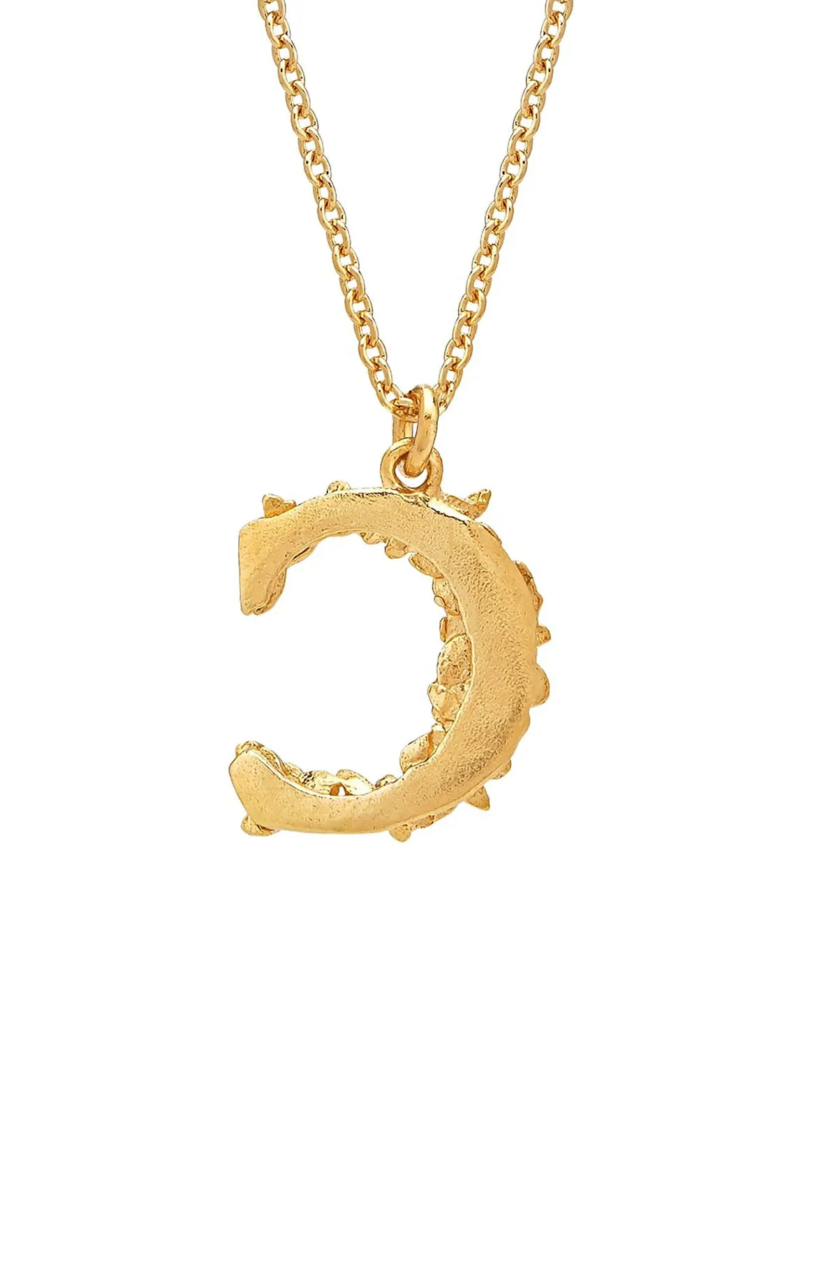 Floral Letter C Necklace Gold Plate