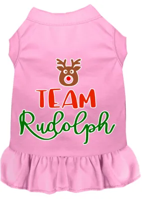 Team Rudolph Screen Print Dog Dress Light Pink Xl